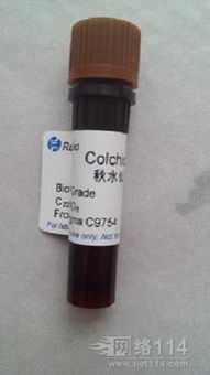 日用化學產品銷售的市場前景與策略分析